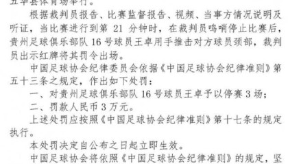 足协官方：贵州门将王卓锁喉对手 停赛3场、罚款3万