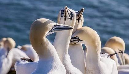 华体会网站——体验极致体育娱乐的新天地